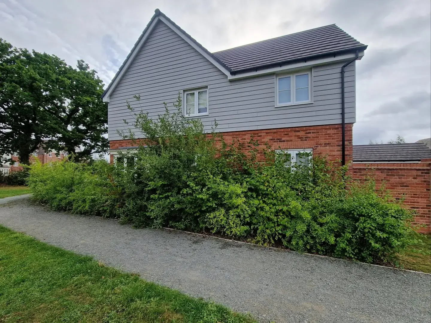 Solihull garden before landscaping and clearance, example 1