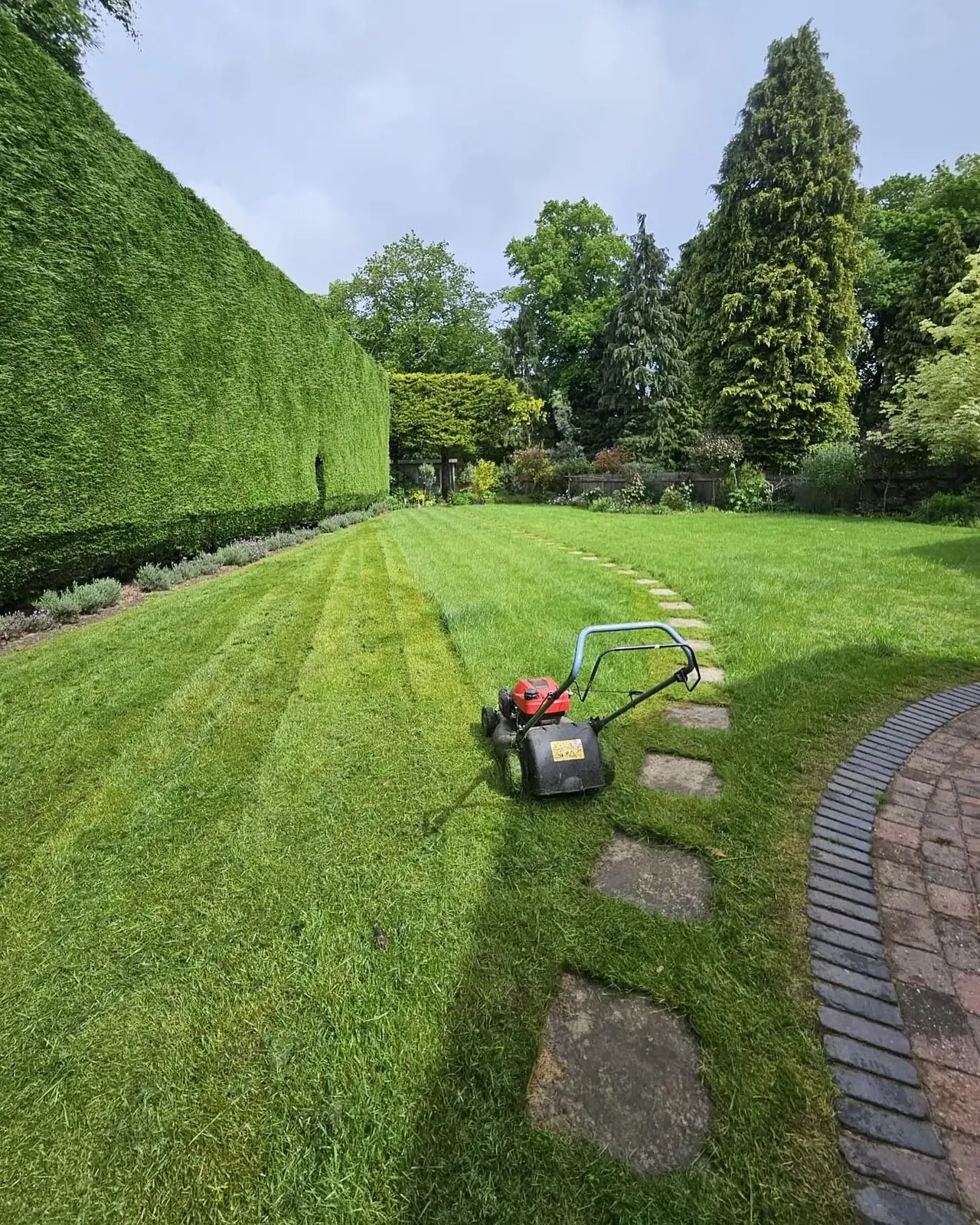 Freshly mown striped lawn with stepping stones in a Solihull garden